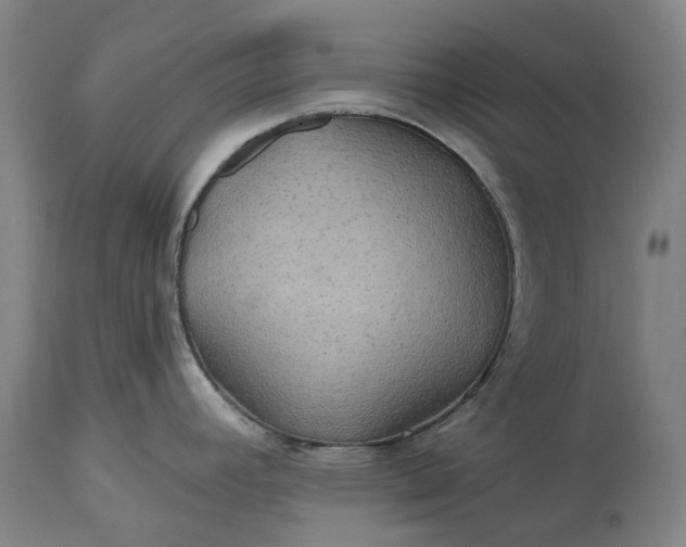 X0000115331392200911161758