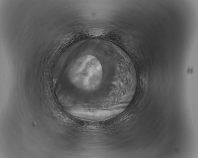 X0000115331393200911161758