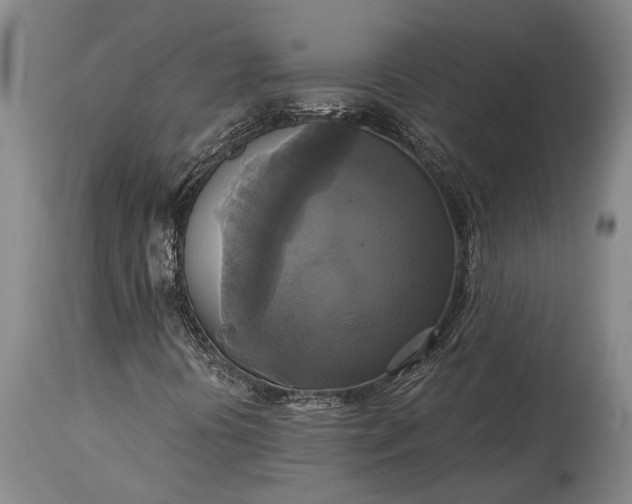 X0000115331394200911161758