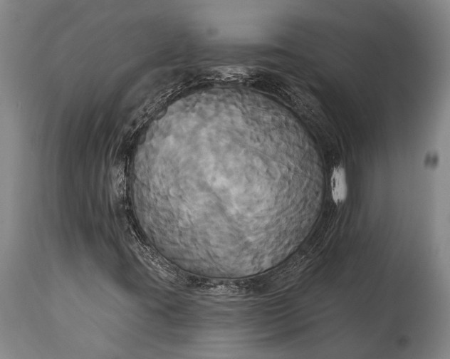 X0000115331395200911161758