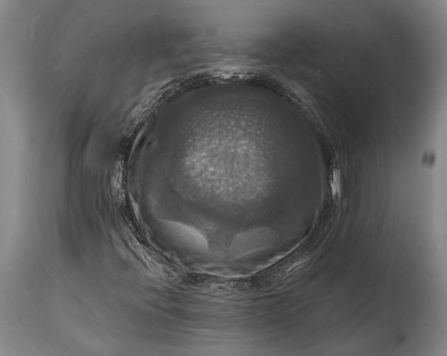 X0000115331396200911161758