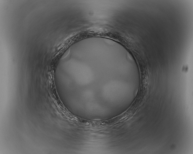 X0000115331397200911161758