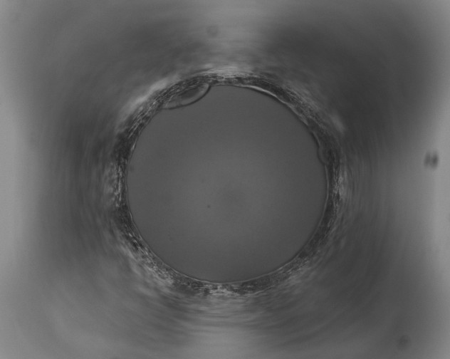 X0000115331398200911161758