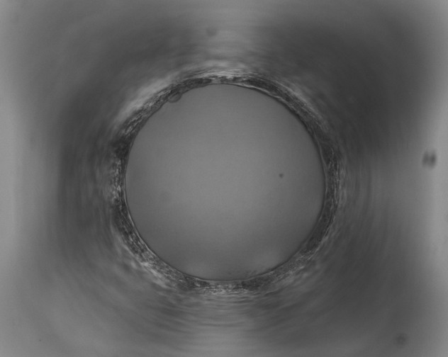 X0000115331399200911161758