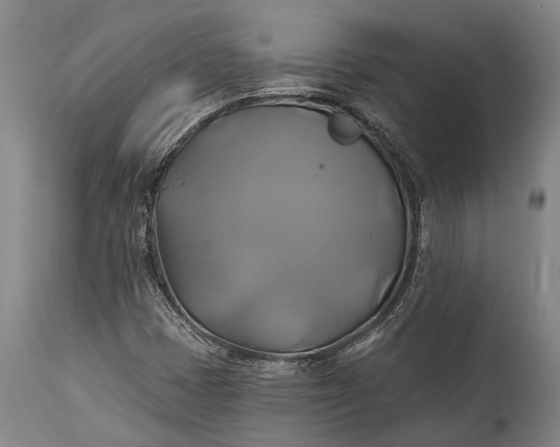 X0000115331401200911161758
