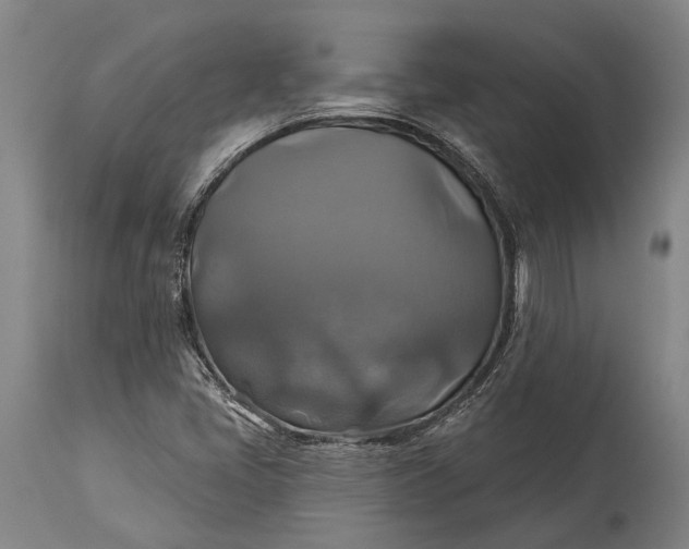 X0000115331405200911161758