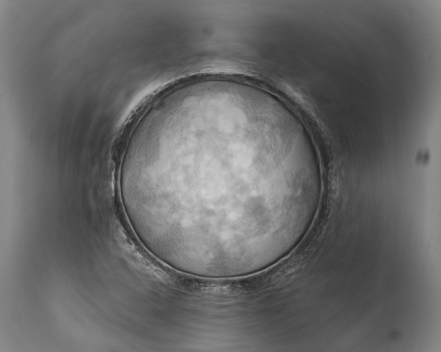 X0000115331408200911161758