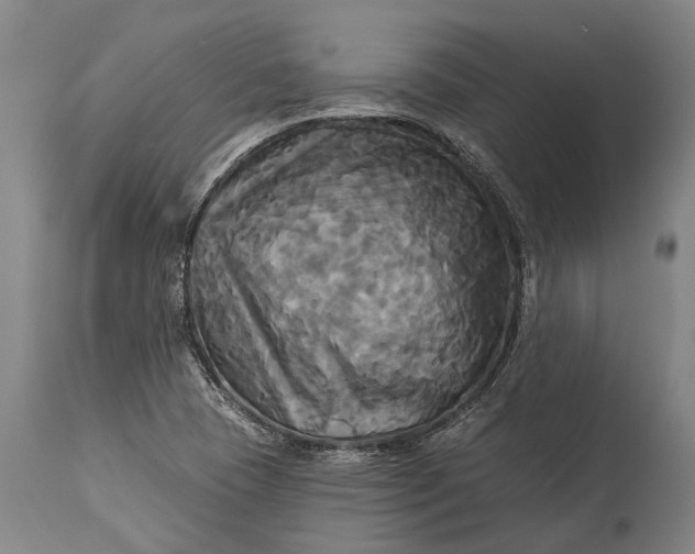 X0000115331409200911161758