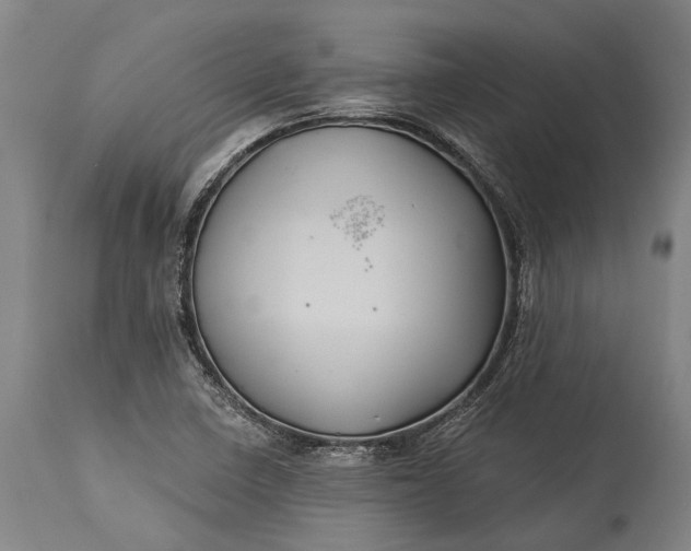 X0000115331410200911161758