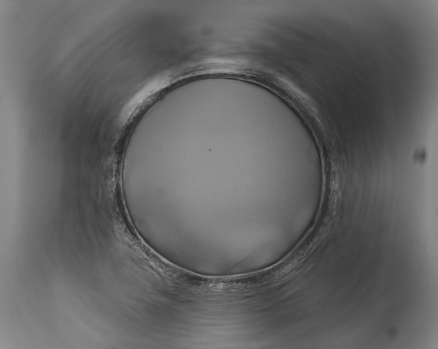 X0000115331411200911161758