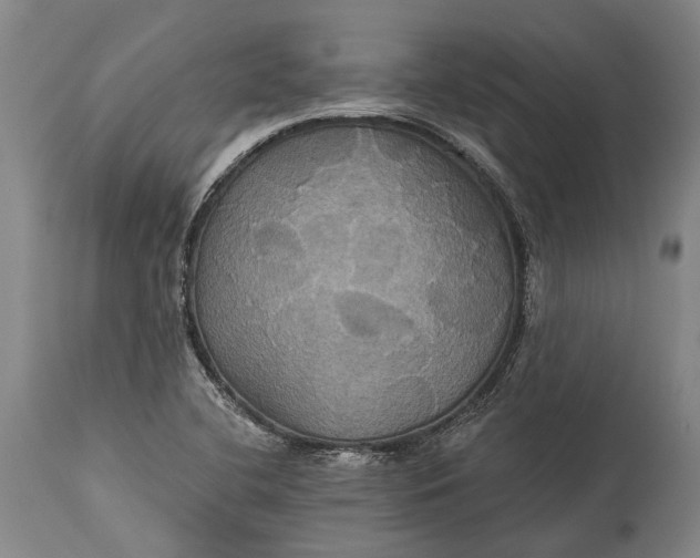 X0000115331412200911161758
