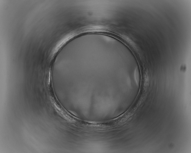 X0000115331413200911161758