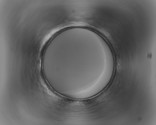 X0000115331414200911161758