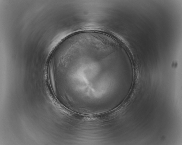 X0000115331415200911161758