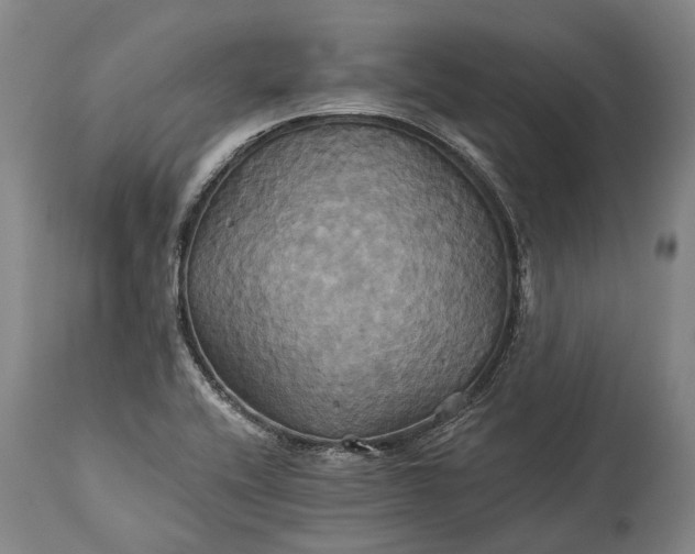 X0000115331416200911161758