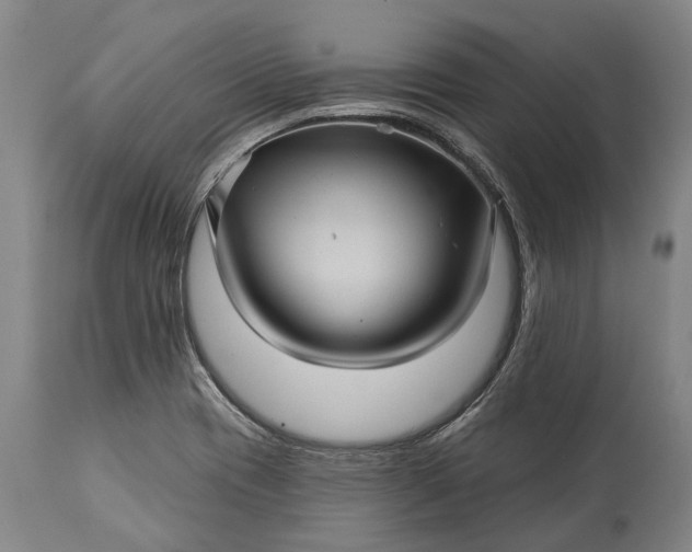 X0000115331417200911161758