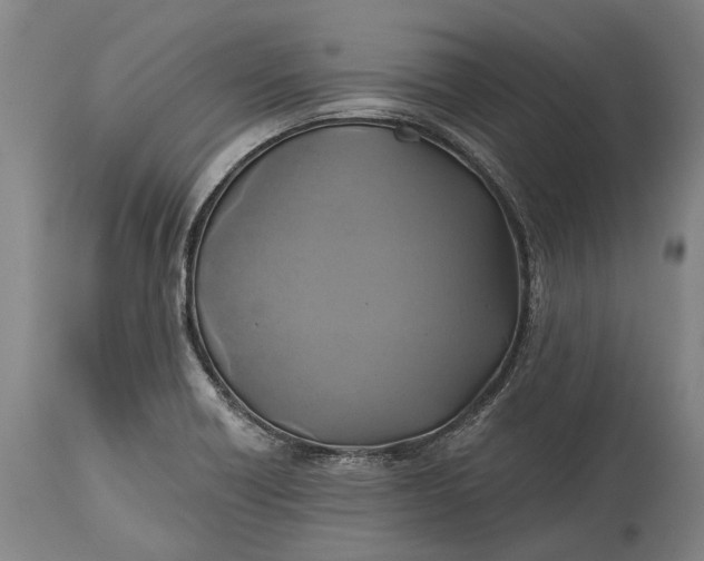 X0000115331418200911161758