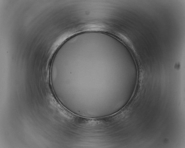 X0000115331419200911161758