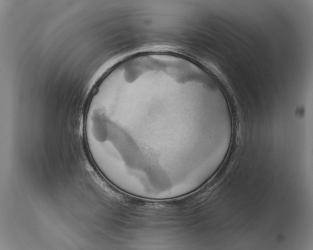 X0000115331420200911161758