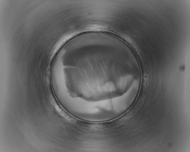 X0000115331421200911161758