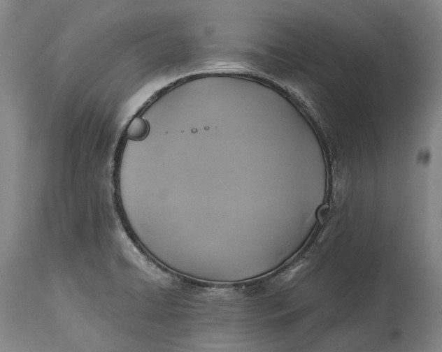 X0000115331422200911161758
