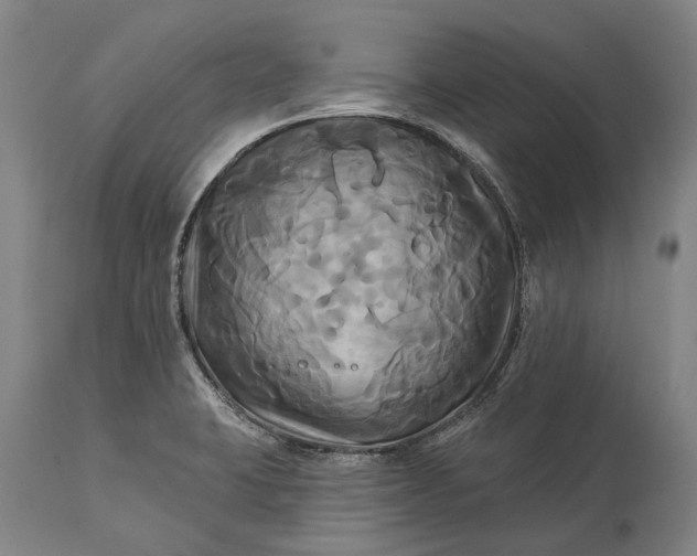 X0000115331423200911161758