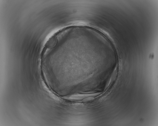 X0000115331424200911161758