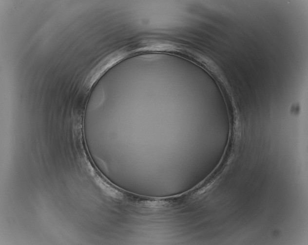 X0000115331425200911161758