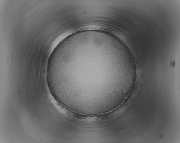 X0000115331426200911161758