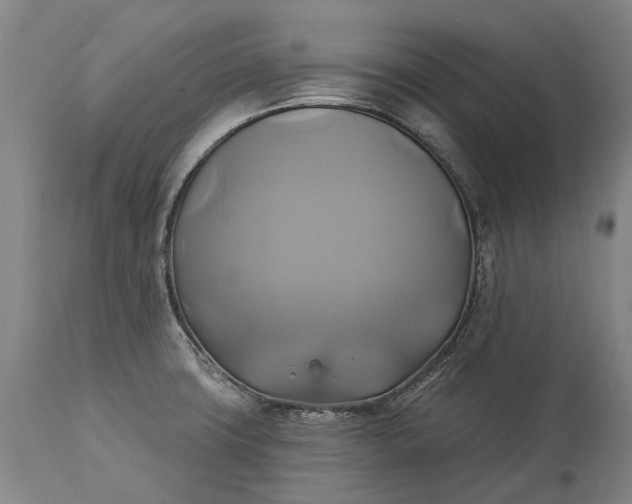 X0000115331427200911161758
