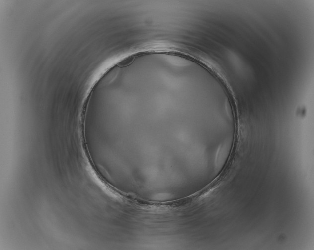 X0000115331429200911161758