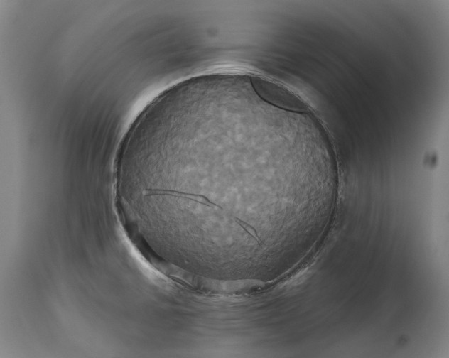 X0000115331430200911161758