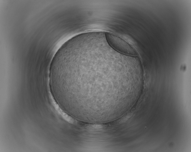 X0000115331431200911161758