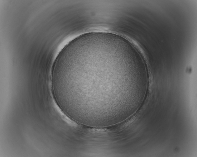 X0000115331432200911161758