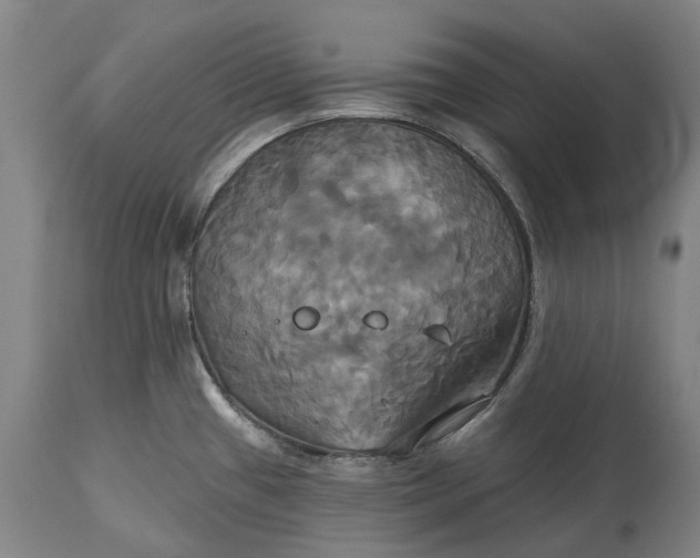 X0000115331433200911161758