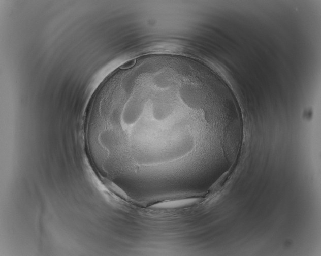 X0000115331434200911161758