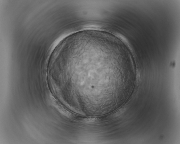 X0000115331435200911161758