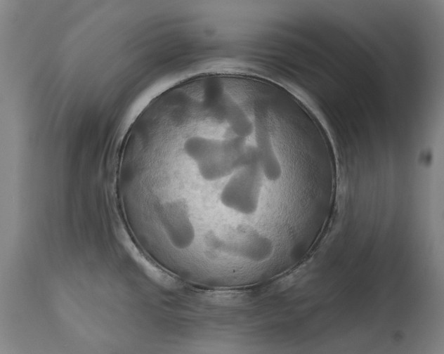 X0000115331437200911161758