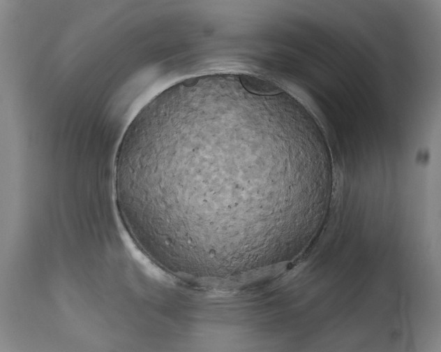 X0000115331439200911161758