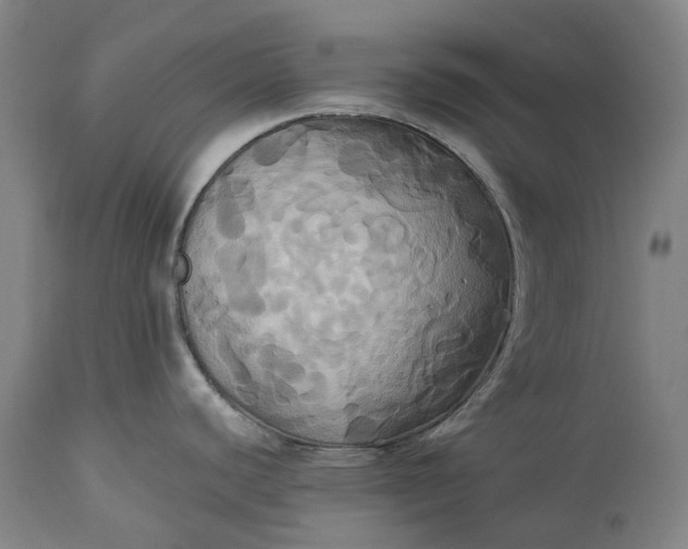 X0000115331440200911161758