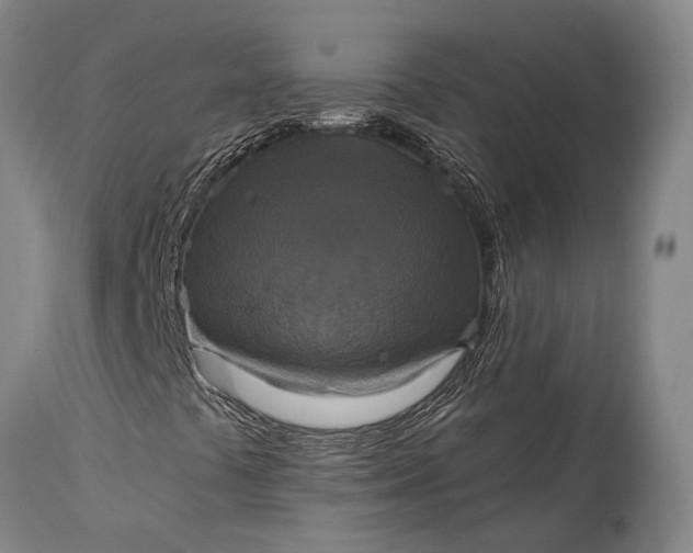 X0000115331441200911161758