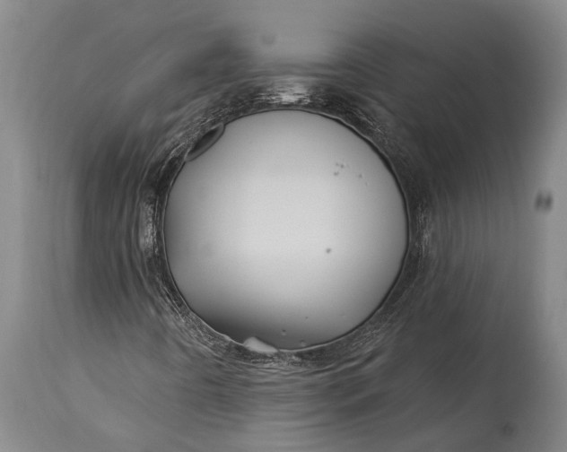 X0000115331442200911161758