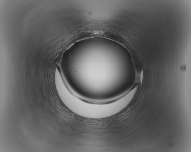 X0000115331443200911161758