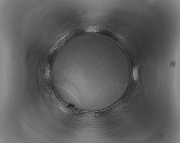 X0000115331444200911161758