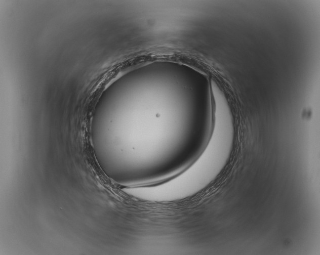 X0000115331445200911161758