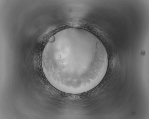 X0000115331446200911161758