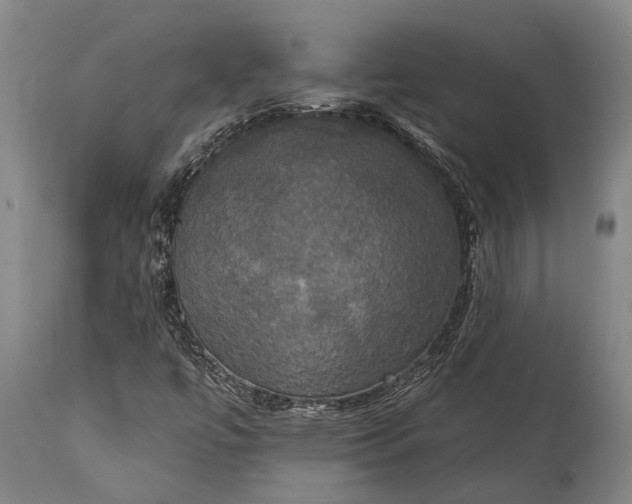 X0000115331447200911161758