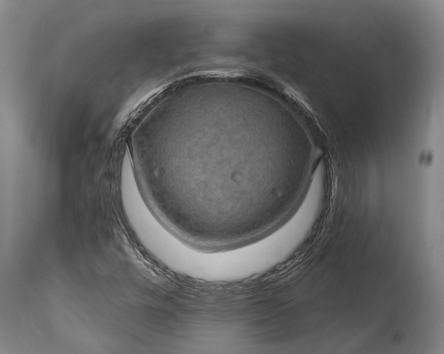 X0000115331448200911161758