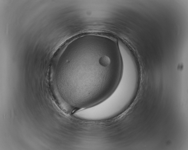 X0000115331449200911161758