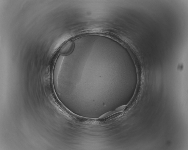 X0000115331450200911161758